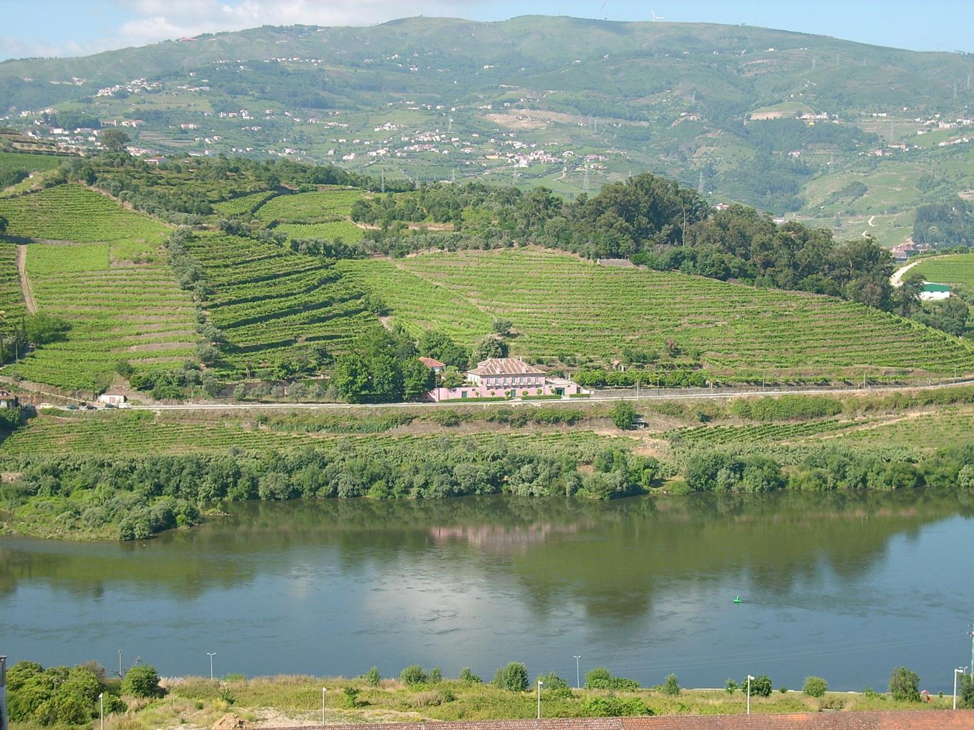 Casa Dos Varais, Manor House Lamego Eksteriør bilde