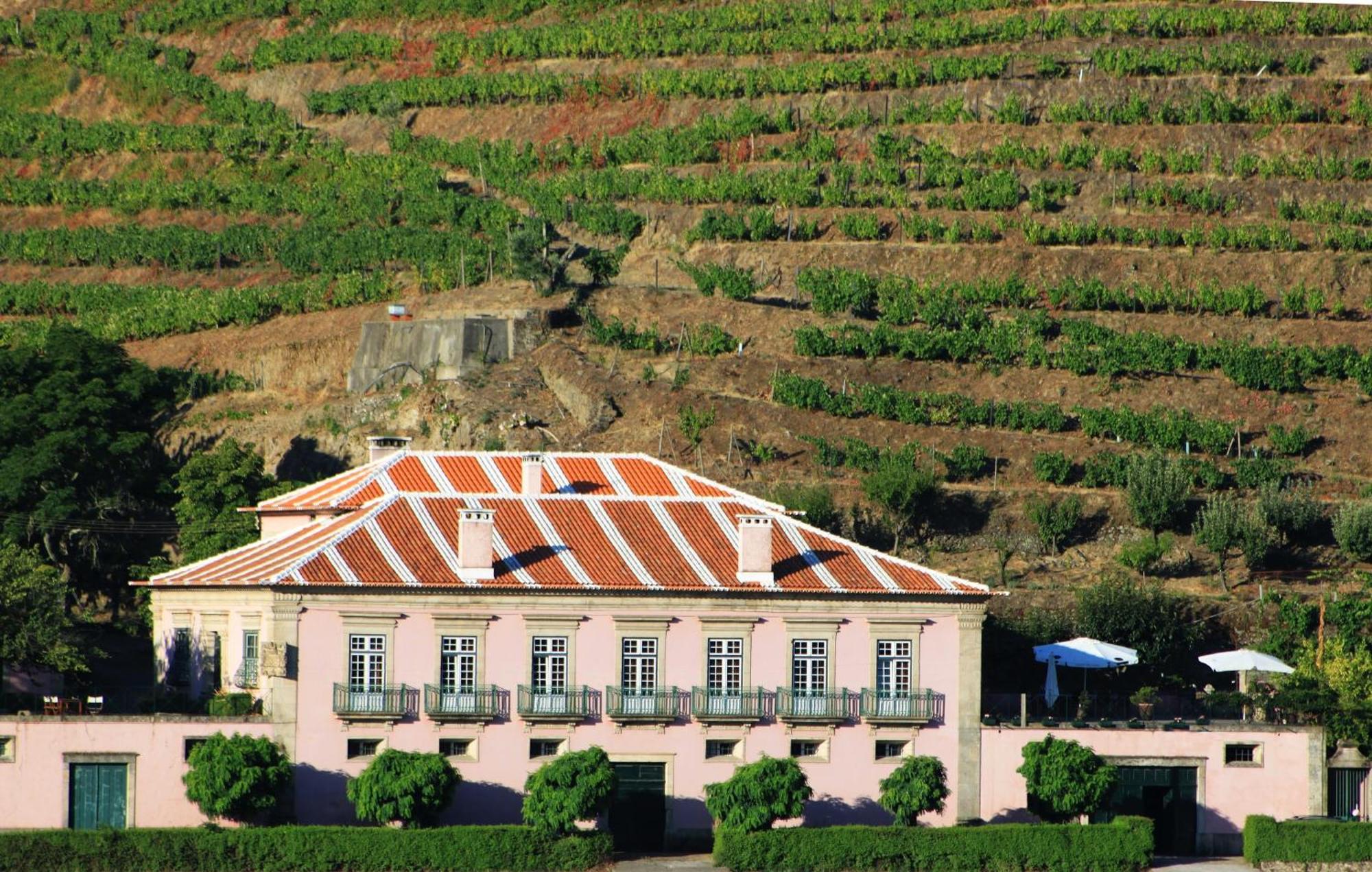 Casa Dos Varais, Manor House Lamego Eksteriør bilde