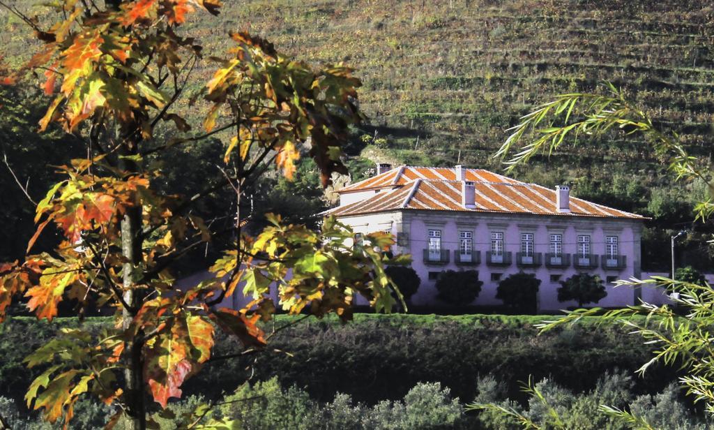 Casa Dos Varais, Manor House Lamego Eksteriør bilde